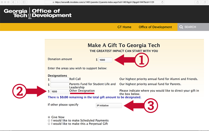 Screenshot of an online donation sample